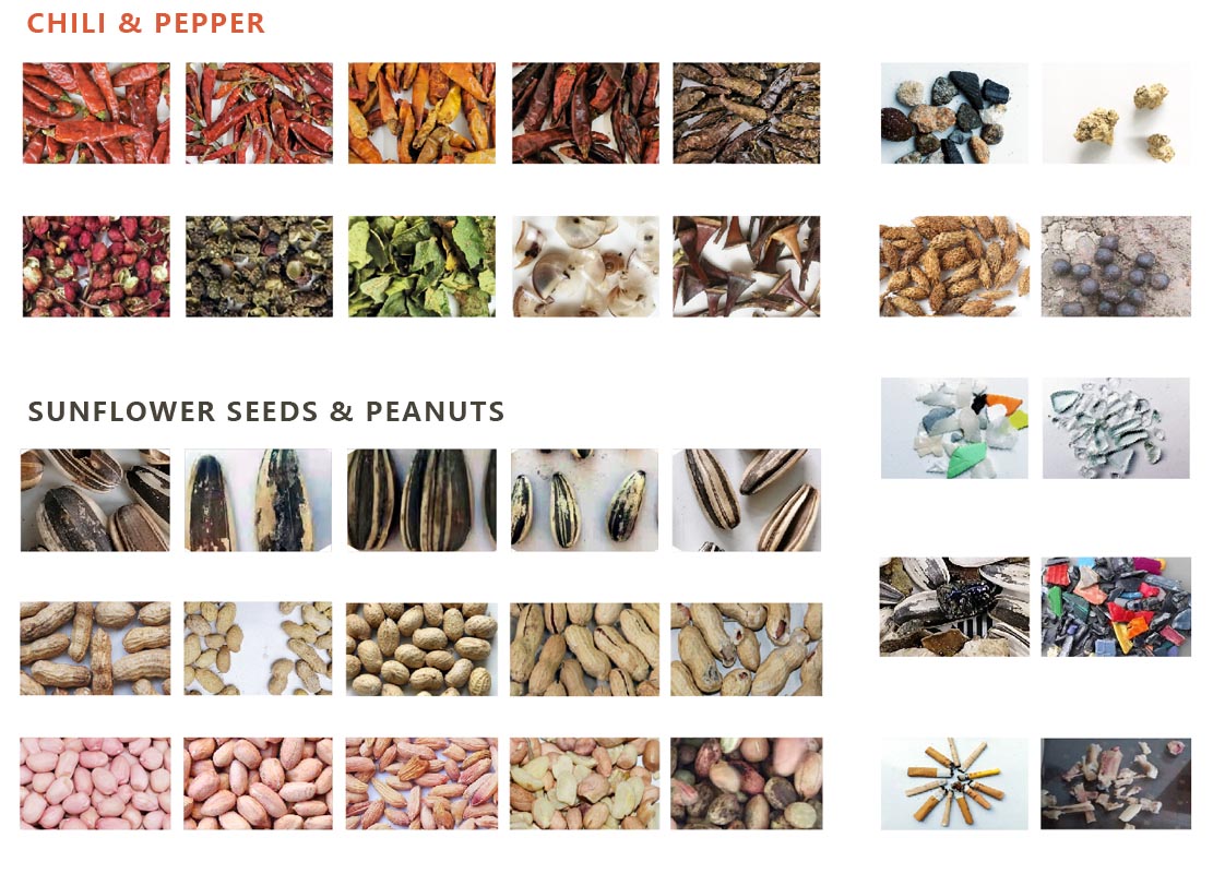 AMD seeds beans peanut sorting machine