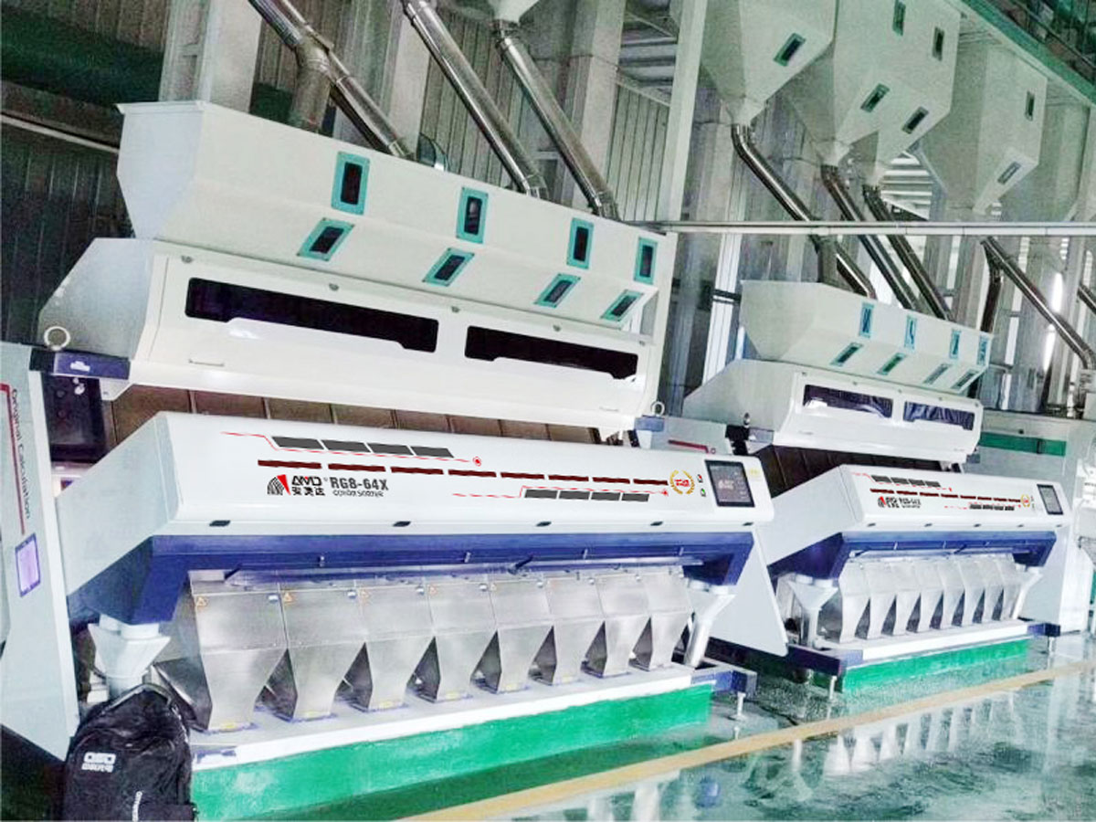 RG Series Rice Color Sorter Installations